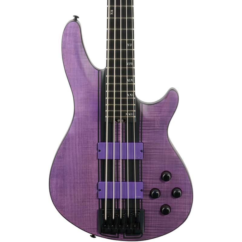 Schecter C-5 GT image 2