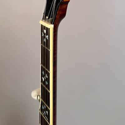 Stelling Sunflower Maple 1998 - Sunburst image 14
