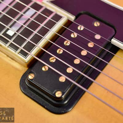 Vintage 1984 Fender D'Aquisto Elite Archtop 1st year example in very rare Blonde! image 11