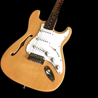 NEW SEMI HOLLOW STRAT STYLE 12 STRING ELECTRIC GUITAR image 1