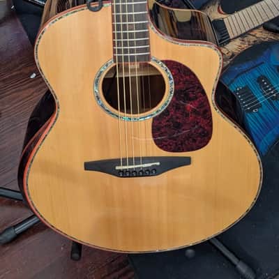 Willow Creek FX-PG9-BS Grand Auditorium Acoustic Electric Guitar With Built-in Effects image 1
