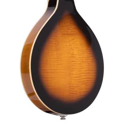 Gold Tone GM-50+ A-Style Solid Spruce Top Maple Neck 8-String Mandolin w/Hard Case & Pickup image 2