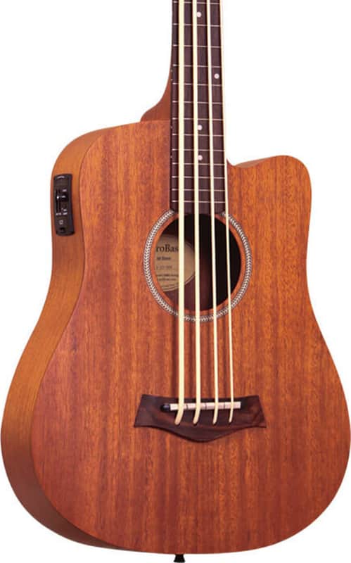 Gold Tone M-BassFL Fretless Short-Scale 4-String Acoustic-Electric Bass Guitar, Mahogany Top image 1