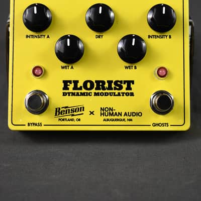 Immagine Benson Amps Florist (Yellow) - 6