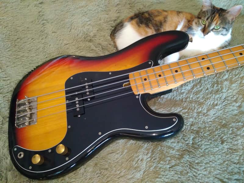 Cat sells Killer Bass :-) Greco Precision Bass 1980 Sunburst PB600S model \m/ image 1