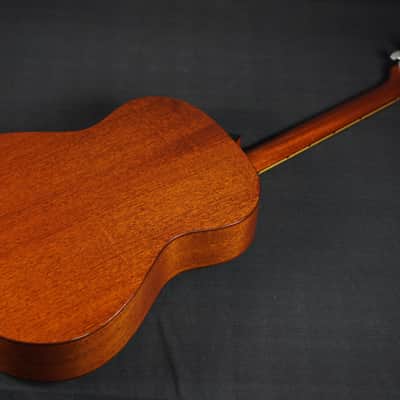 Thompson TM-1 1996 - Natural image 16