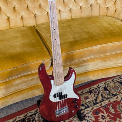 Alien Audio Constellation 5 String Bass image 1