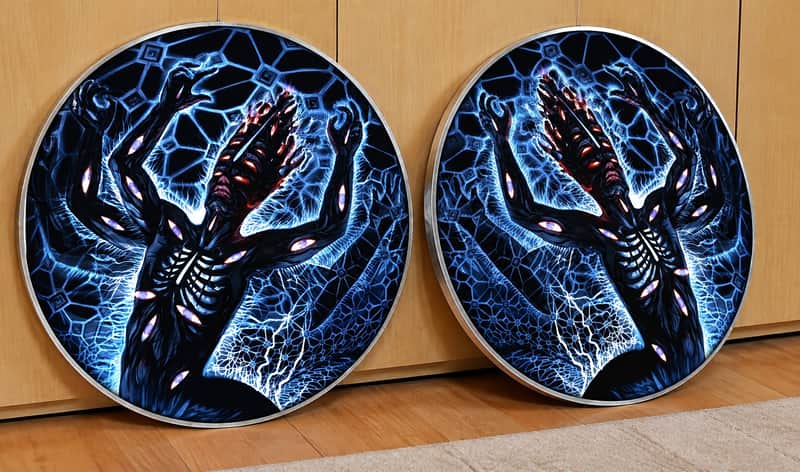 Tool, PAIR of The Great Turning 22" Bass Drumheads, Danny Carey
