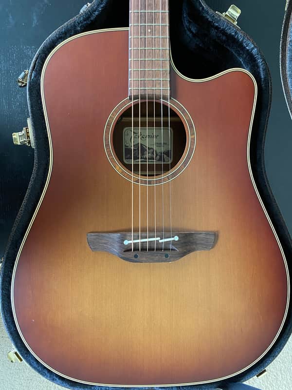 Takamine ETN10C-TBS Satin Tobacco Burst image 1