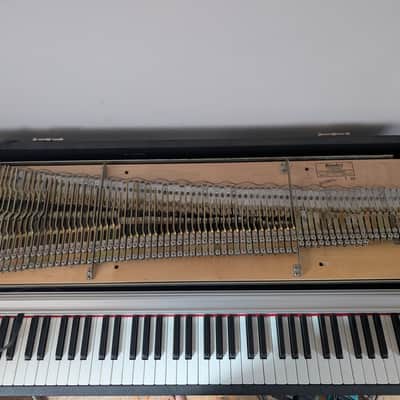 Fender  Rhodes Mark II 1982 - Schwarz image 2