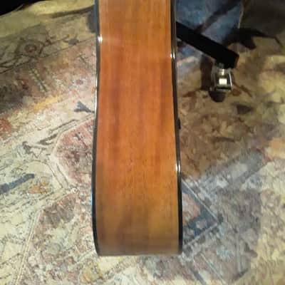 Alvarez 5221 12 String Mahogany image 10