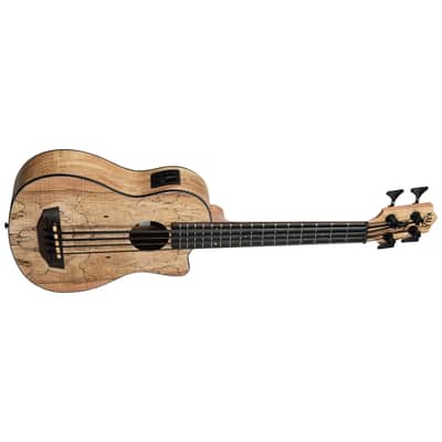 Spalted Maple U-Bass + housse Kala image 3