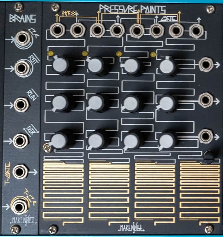 Make Noise Pressure Points Modules + BRAINS | Reverb