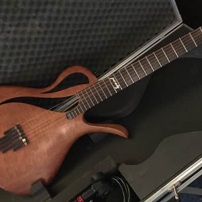 Paradis Avalon Nylon String Electric Polyphonic Guitar image 1