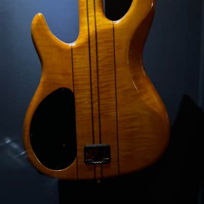 Peavey Dynabass - Orange Amber Flame - Donald Duck Dunn image 7