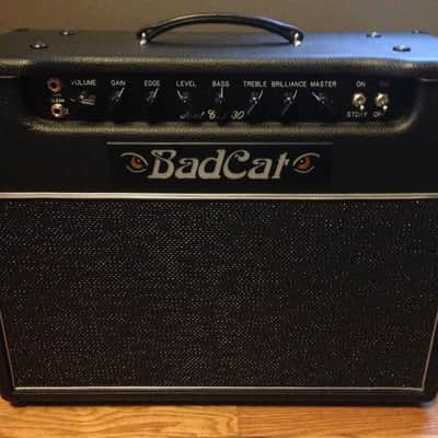 Bad Cat Hot Cat 30 30-Watt 1x12" Guitar Combo