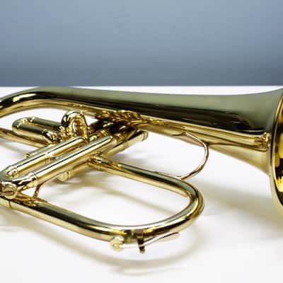 Benge Resno - Tempered Bell 3 Custom Flugelhorn - Los Angeles **Original Case Included** image 10