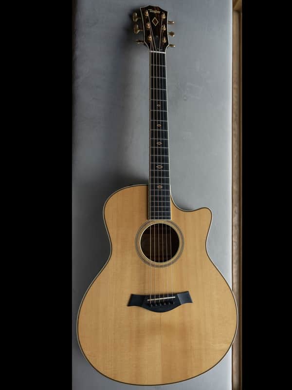 Taylor GSce-FLTD Fall Limited Edition 2012 image 1