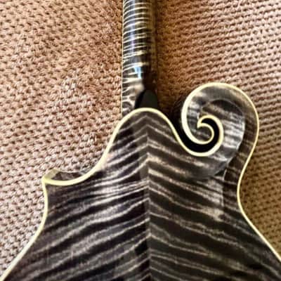 Weber Black Ice Mandolin 2011 - Black Ice image 5