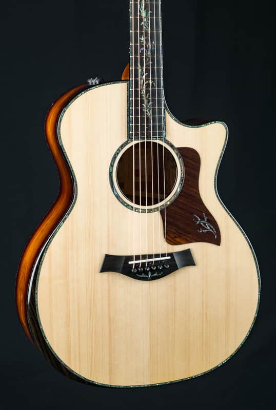 Taylor PS14ce Presentation Series Honduran Rosewood and Adirondack Spruce with Pickup Used (2025) image 1