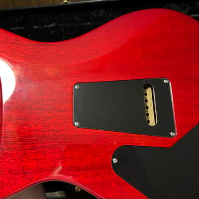 PRS DGT David Grissom Tremolo Signature 2008 - Present - Cherry Sunburst Bild 16