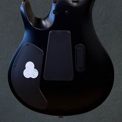 Paul Reed Smith SE Chleo, '25 image 4