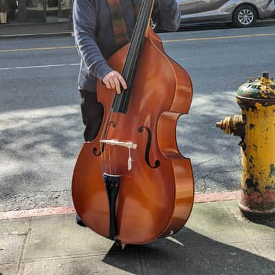 Upright Bass Samuel Eastman VB80 2019 image 6