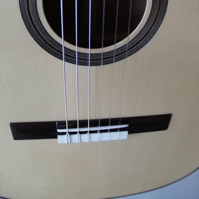 Brand New Cordoba Fusion 14 Maple Nylon String Acoustic/Electric Classical Guitar image 6