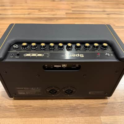 Positive Grid Spark 40 Custom (speaker out) & Spark Control image 3