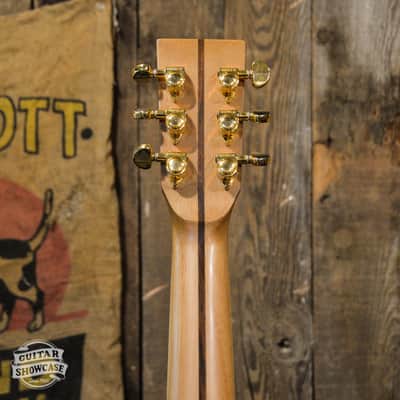 Zager ZAD-900CE Aura - Sunburst image 6