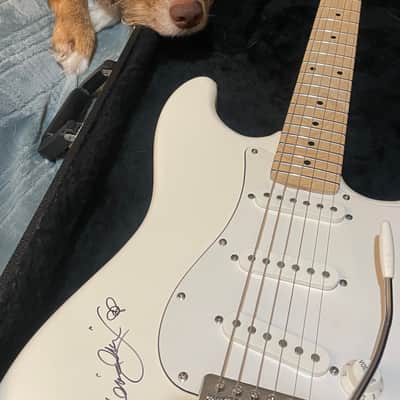Fender  stratocaster / strat in olympic white signed by Jimi Hendrix 's Brother + a vintage hard shell fender case image 18
