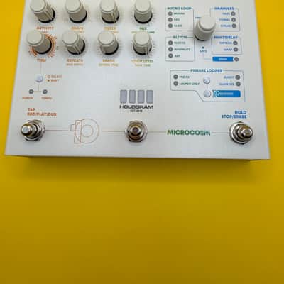Hologram Electronics Microcosm | Reverb