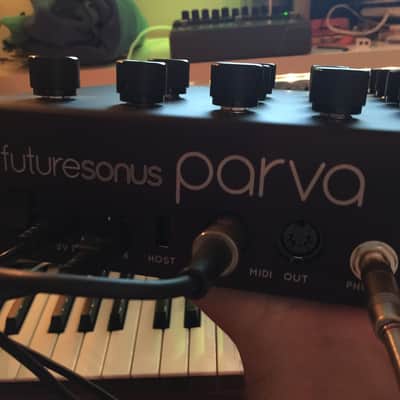 Futuresonus Parva 8-Voice Analog Synthesizer - Limited Black Matte & Black Knob Edition image 7