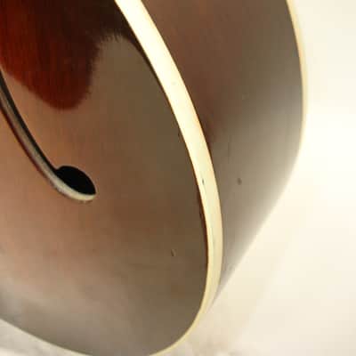 Vintage Acoustic Mandocello Archtop, Vintage Sunburst with Case image 9