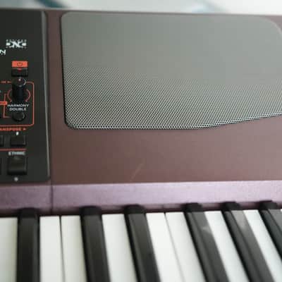 Korg PA1000 61-Key Professional Arranger 2017 - Present - Red image 11