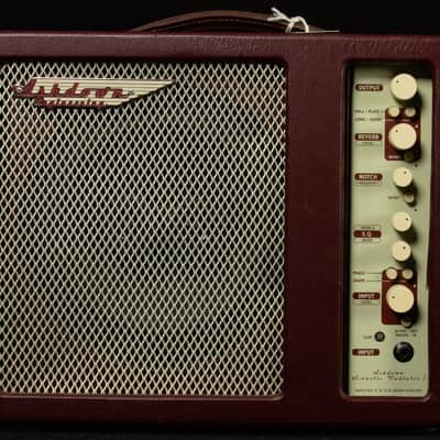 Ashdown Acoustic Radiator 1 AAR-1 100-Watt 1x8