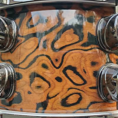 Mapex Orion 2008 - Chocolate Burl image 3