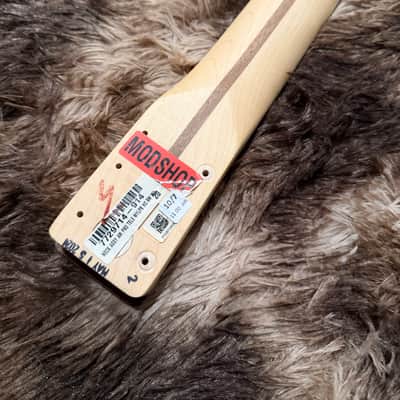 2021 Fender Mod Shop American Professional Telecaster Rosewood Neck with Mystic Lake Placid Blue Headstock image 7