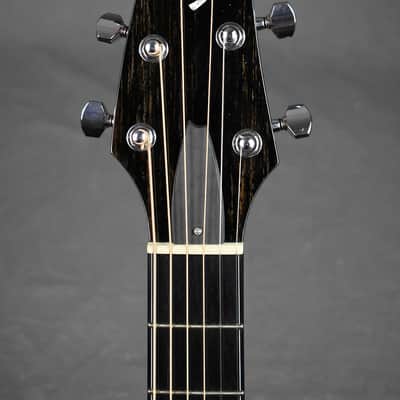 2010 Breedlove Special Edition Focus D image 23