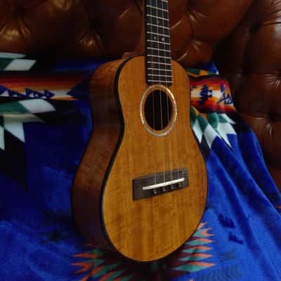 Randolph Concert Ukulele #41 w/Bag image 3