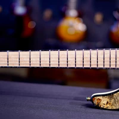 Mayones Regius 6 Buckeye Burl Trans Natural Gloss RF2606302 image 4