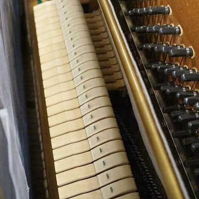 KAWAI NS10 Professional Upright Piano BLACK POLISH image 4