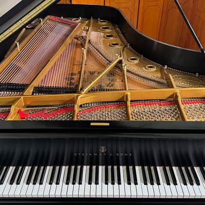 Steinway & Sons Art-Case Model C 1877 - Ebony Satin image 5