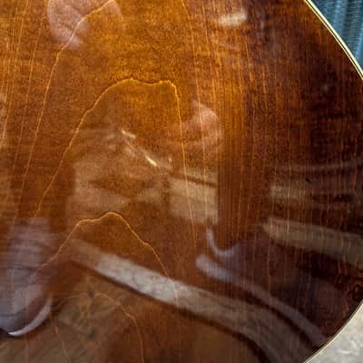 Eastman AR175CE, AR371CE (2014) image 11