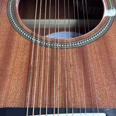 TAGIMA SIERRENA XII EQ NT ACOU-ELEC 12 STRING GUITAR NATURAL GLOSS - B Stock image 8