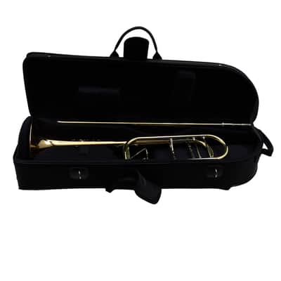 S.E. Shires Model Q30GA Q-Series Tenor Trombone SN 21900 image 21