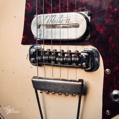 Maton EG75 Super Solid White 1960 image 15