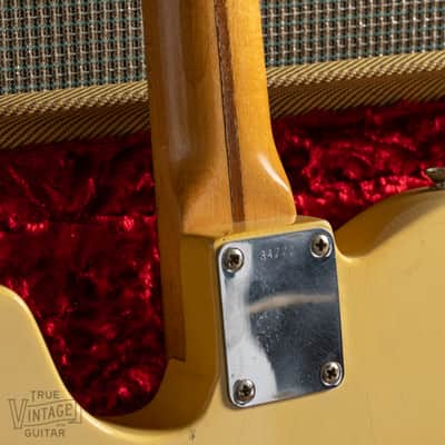 1959 Fender Telecaster Maple Fretboard Blonde image 25