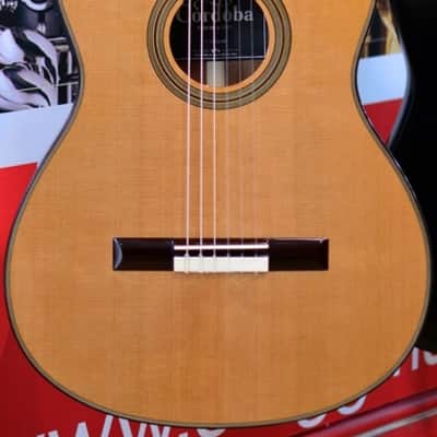 Cordoba Fusion 12 Natural Cedar Electro Nylon Guitar image 6