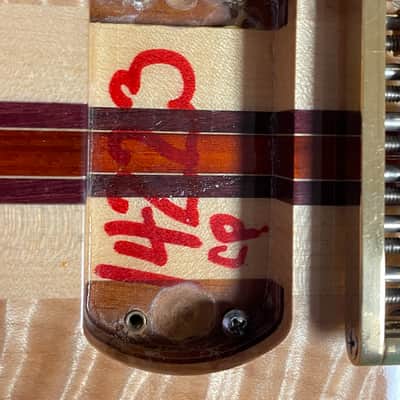 Alembic "Little Darling" Custom ILG6 2006 Natural image 17